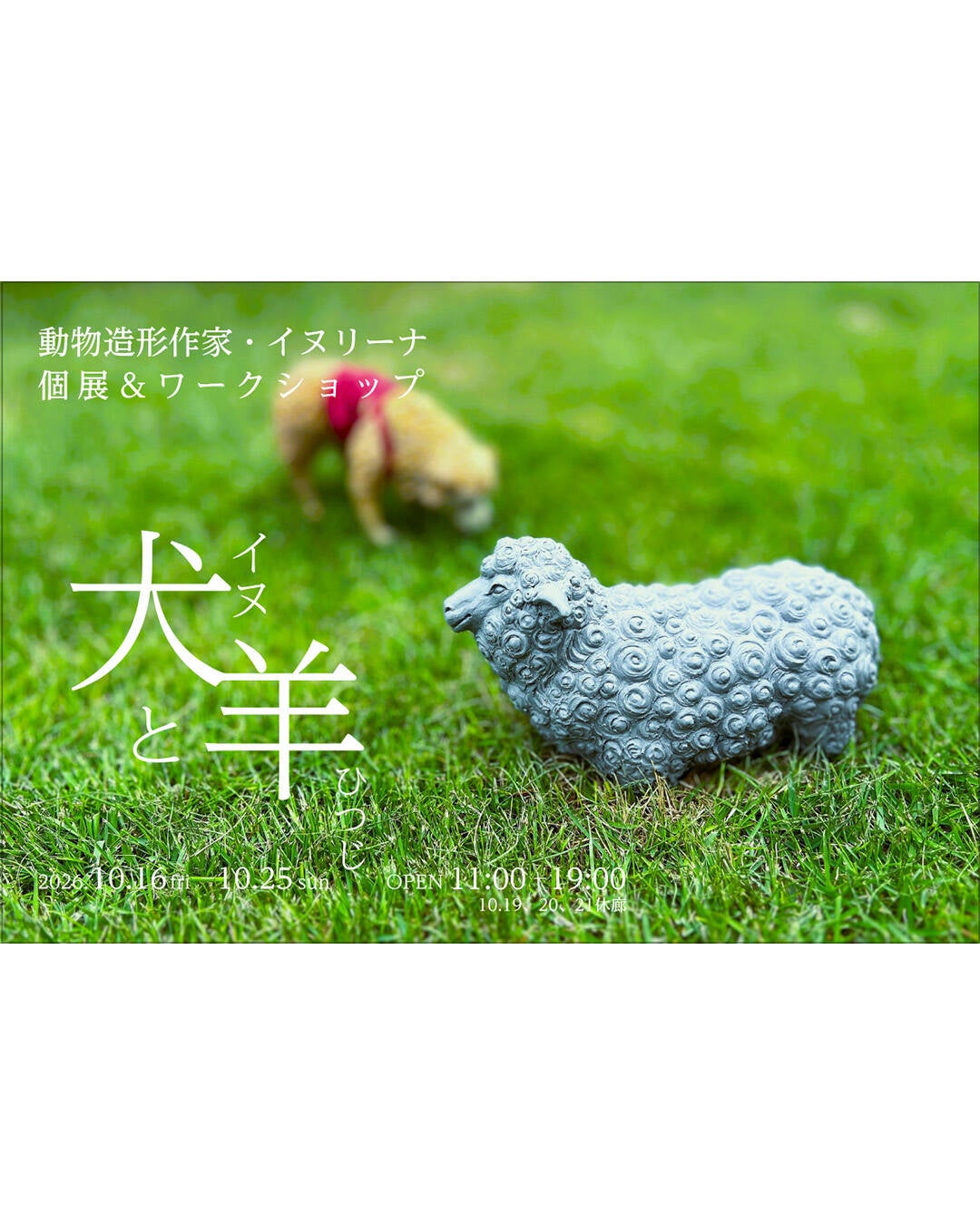 Dogs and Sheep Inurina
